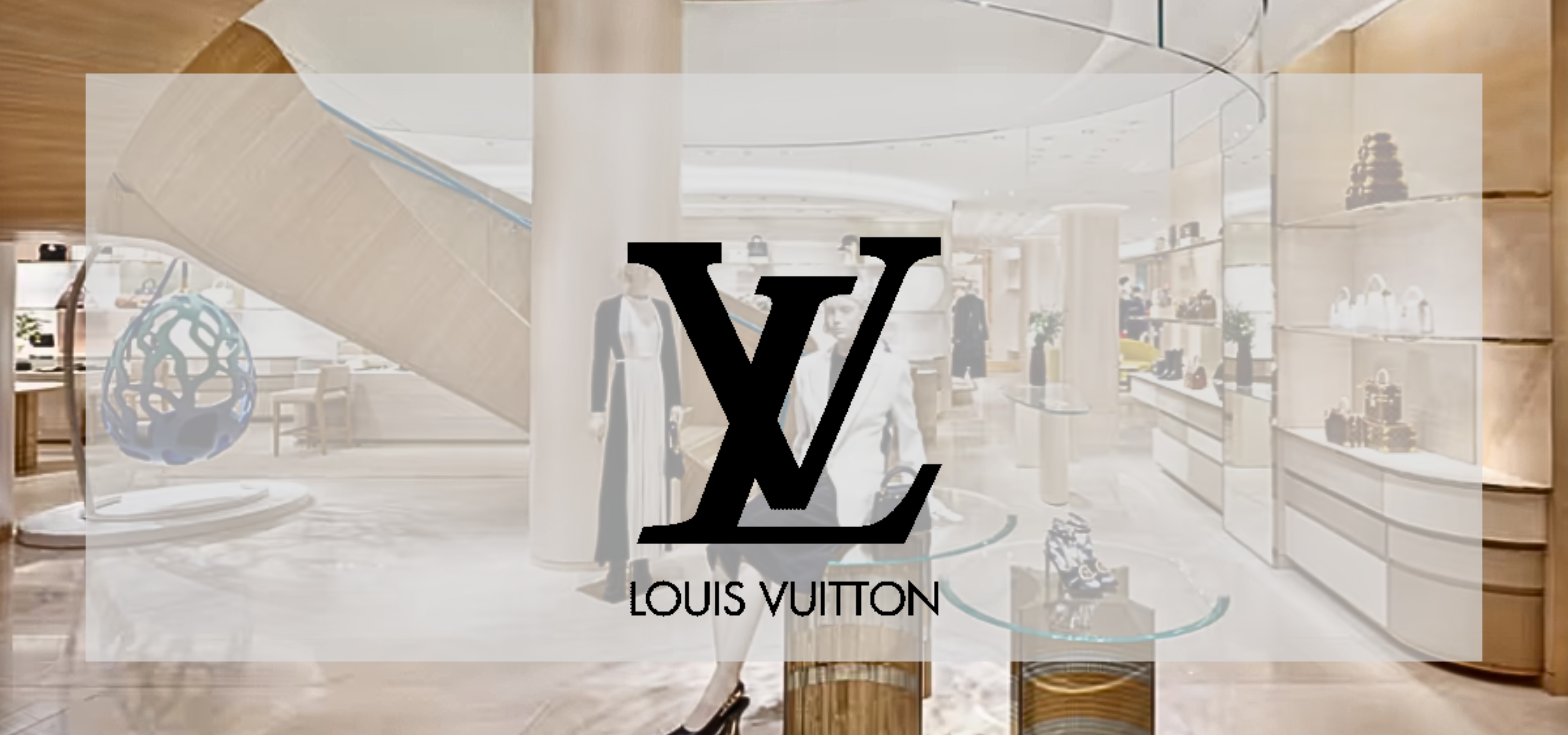 Louis Vuitton Project Image